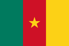 Bandera de Camerún
