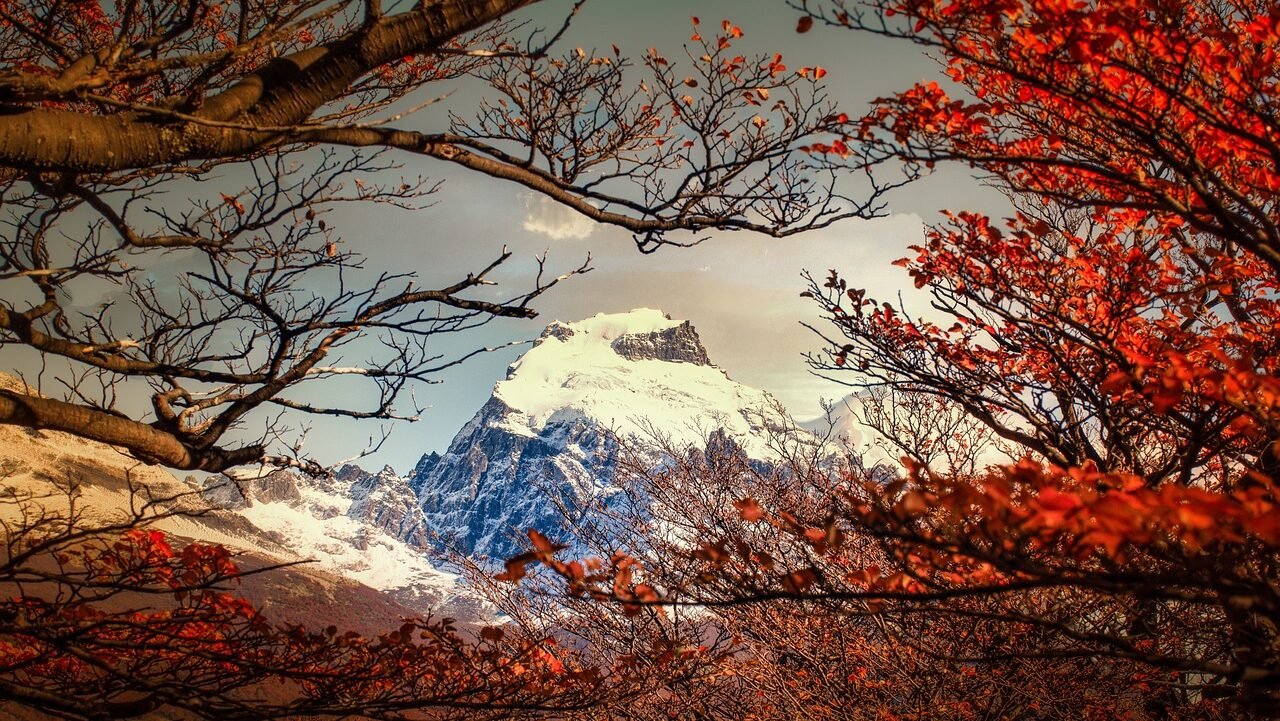Montes en La Patagonia Argentina