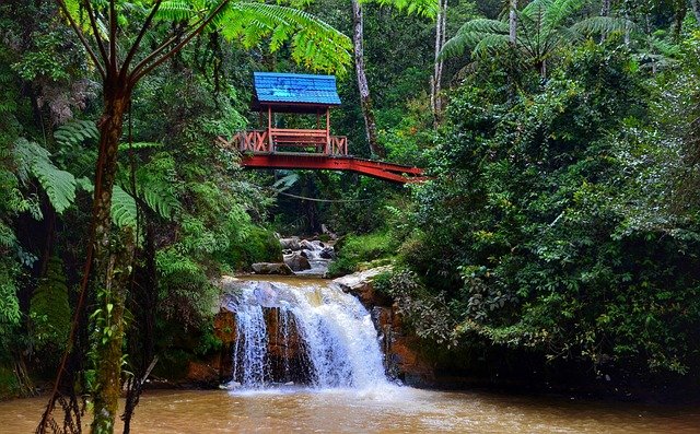 Cascada en la selva de Camerún