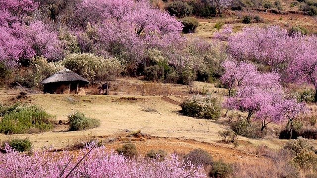 Paisaje con cabaña tradicional en Lesotho, África